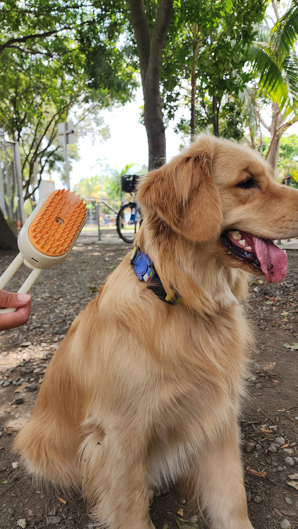 Cepillo Vaporizador para Mascotas – Limpieza y Cepillado 2 en 1