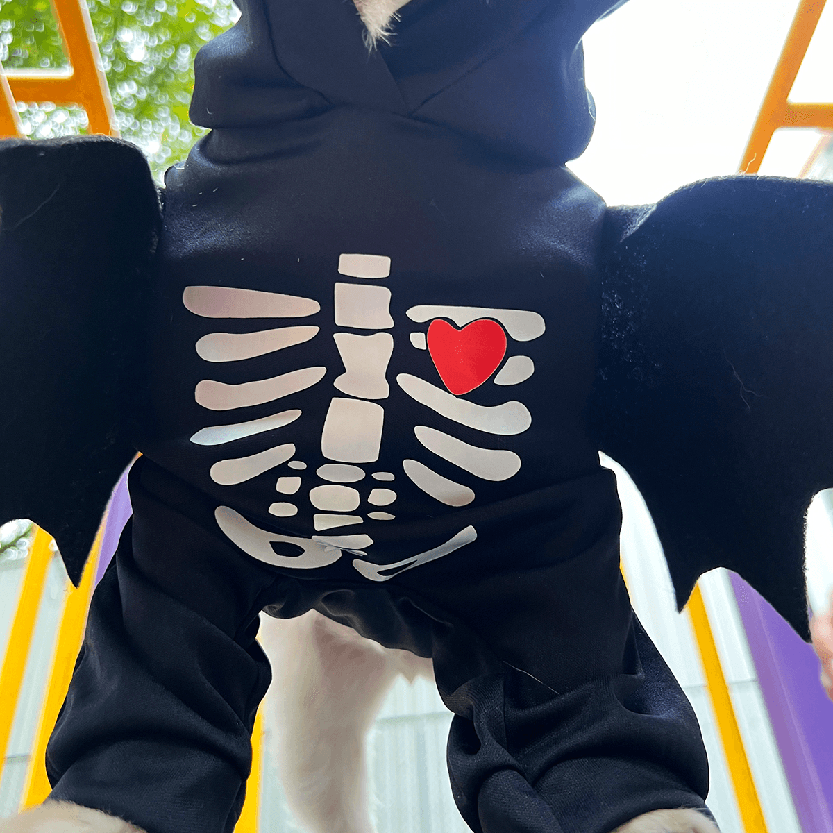 Disfraz de Murciélago para Mascotas – Diseño Esqueleto