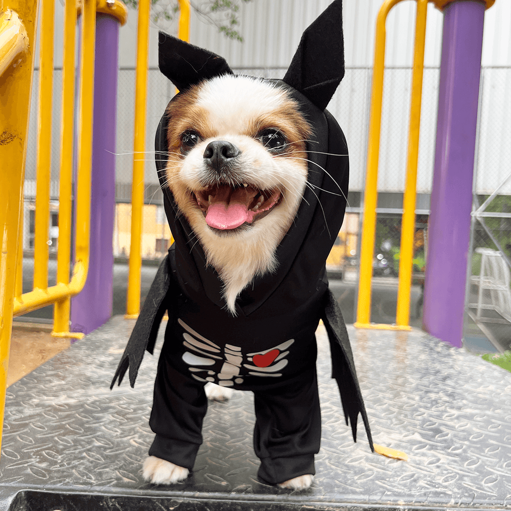 Disfraz de Murciélago para Mascotas – Diseño Esqueleto