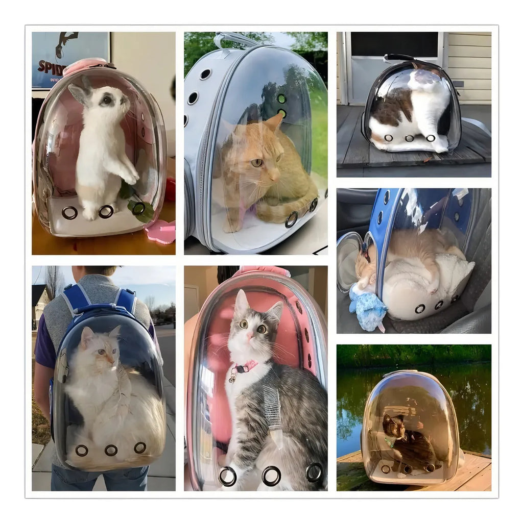 Morral Transportador Para Mascotas