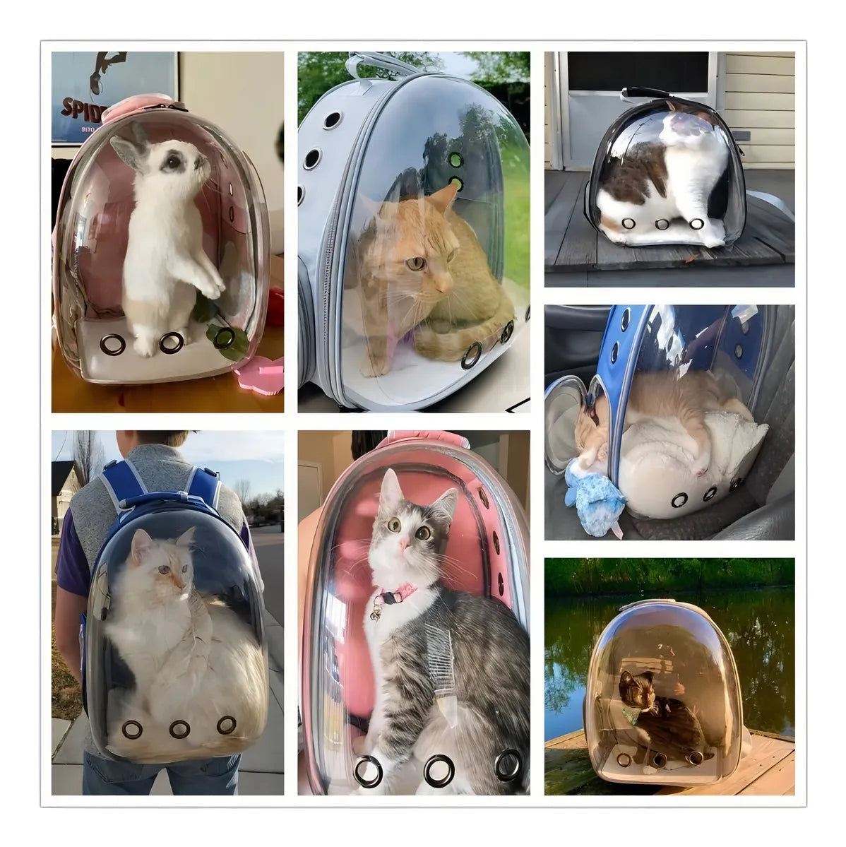 Morral Transportador Para Mascotas